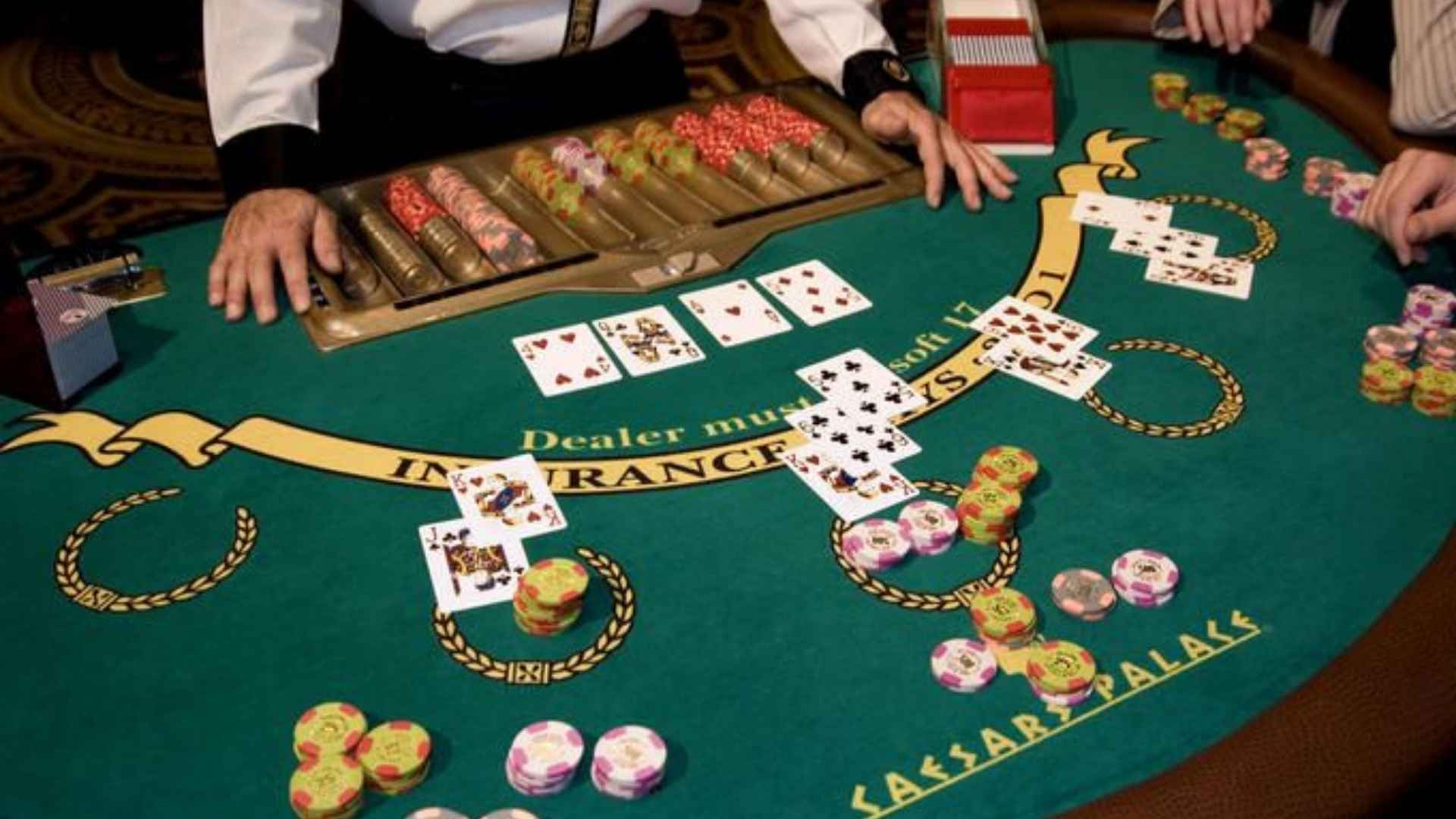 Dominoes Championship Stories That Inspire Players